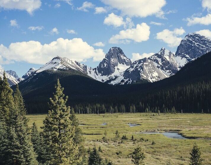 فندق Mount Engadine Lodge