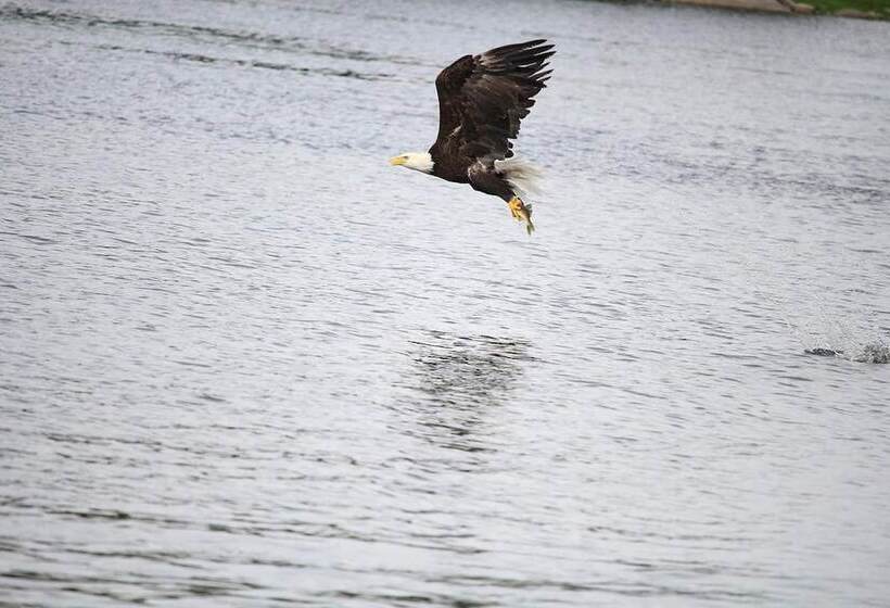 فندق Nature S Inn Kenora