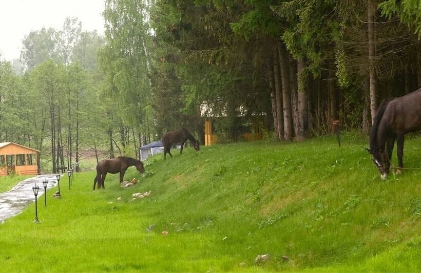 هتل Olimp Event Complex