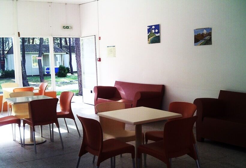 酒店 Parque De Campismo Orbitur Gala