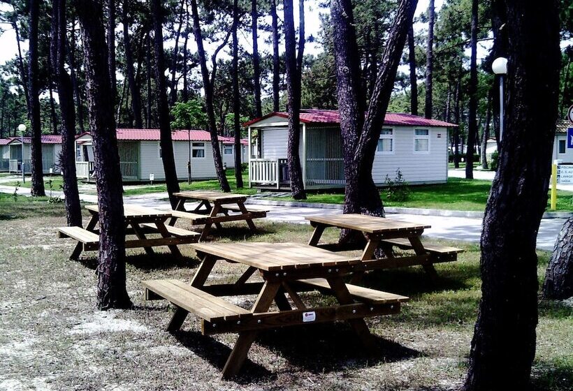 酒店 Parque De Campismo Orbitur Gala