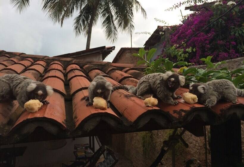 בית מלון כפרי Pousada Aconchego