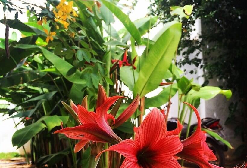 בית מלון כפרי Pousada Aconchego