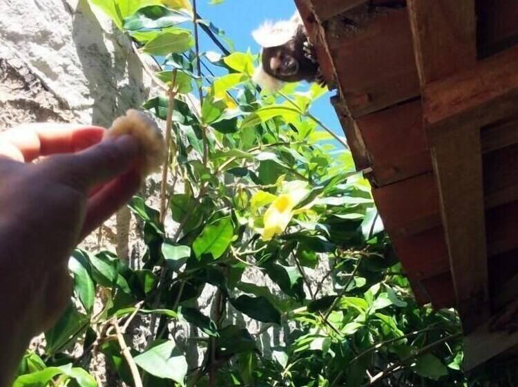 בית מלון כפרי Pousada Aconchego