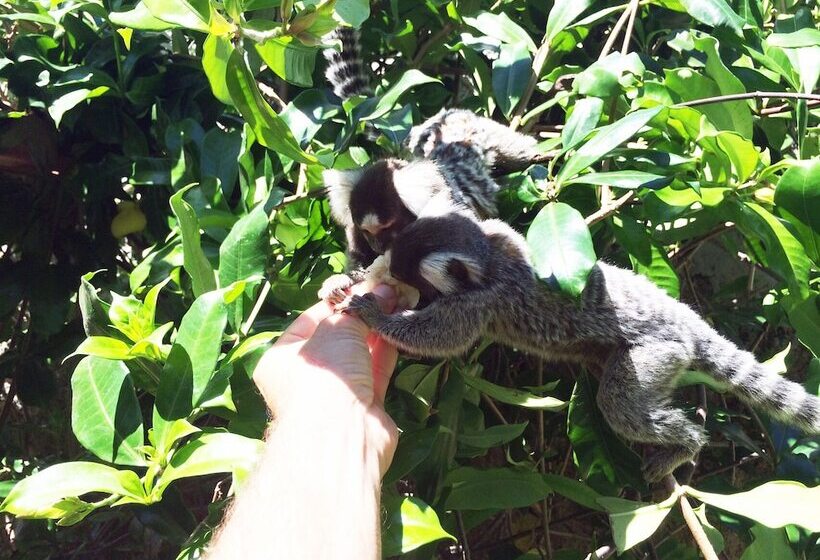 בית מלון כפרי Pousada Aconchego