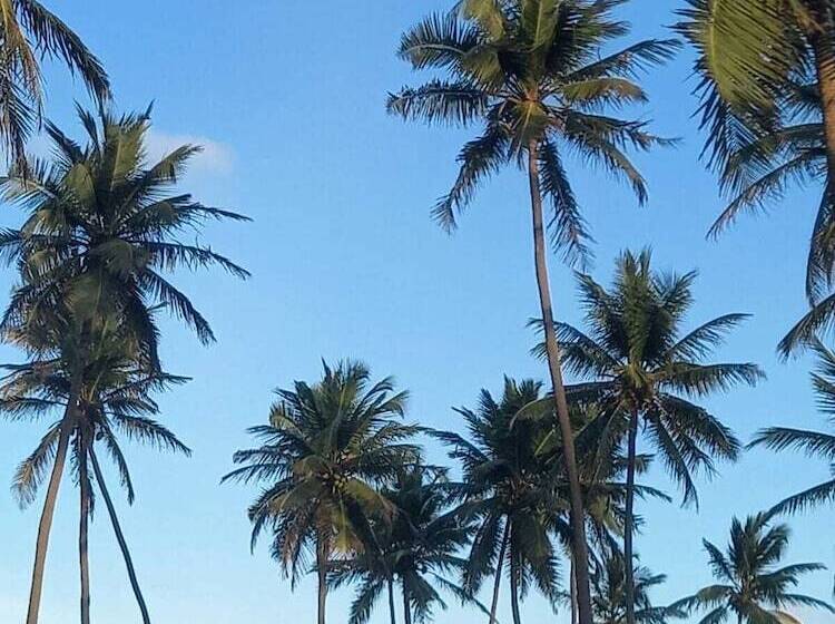 בית מלון כפרי Pousada Anzol De Ouro