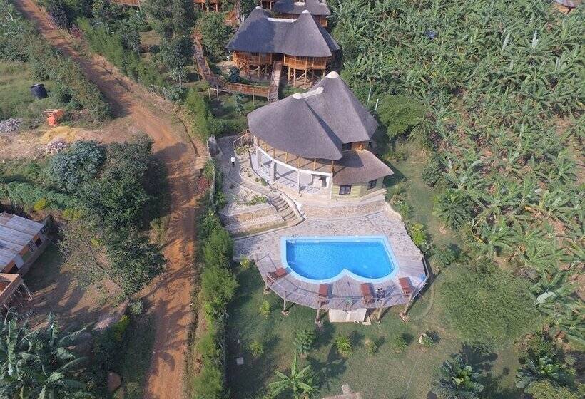 هتل Rafiki Safari Lodge Bwindi