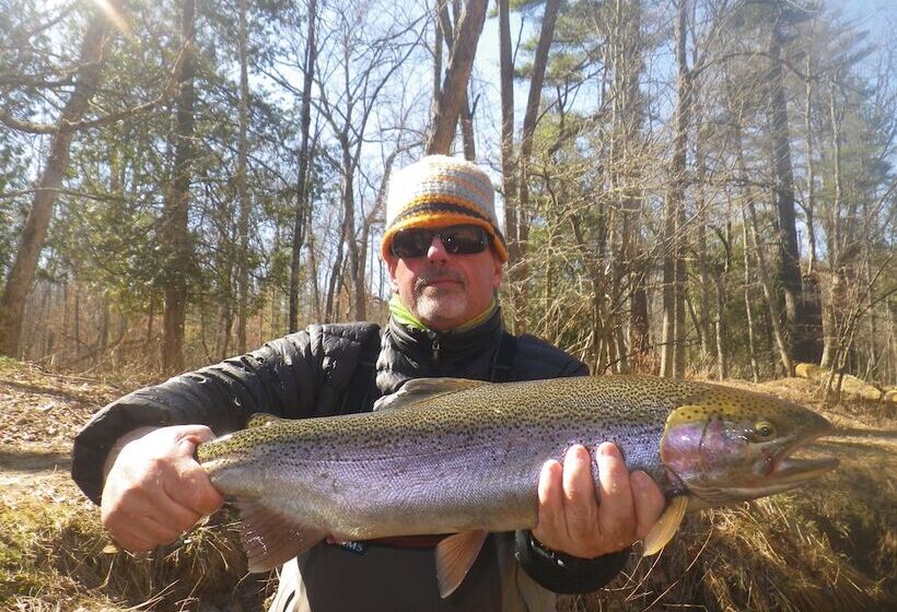 فندق Red Moose Lodge