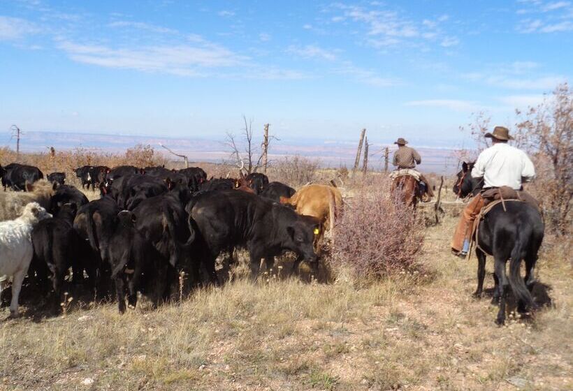 فندق ريفى Grand Canyon Ranch & Outfitters