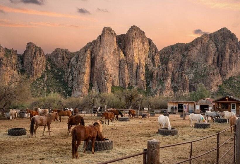 فندق ريفى Saguaro Lake Ranch