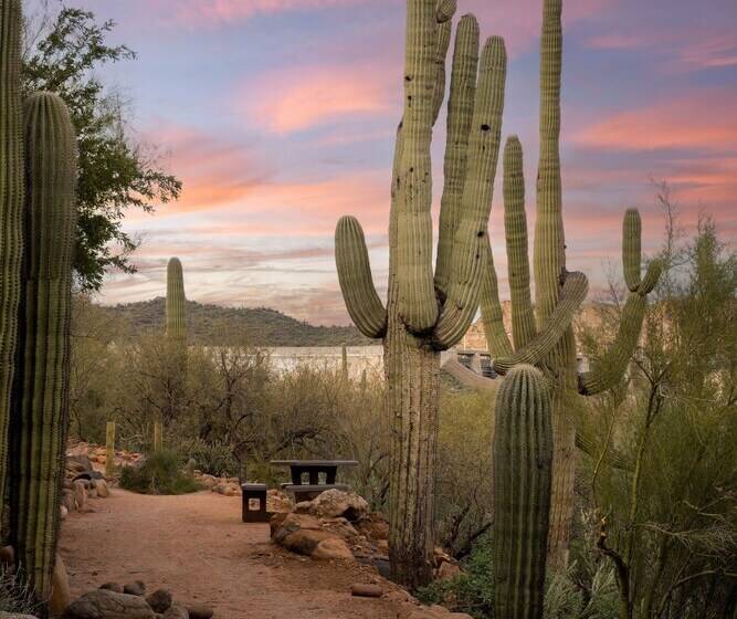 فندق ريفى Saguaro Lake Ranch