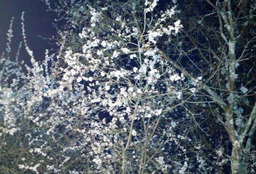 乡村酒店  Tenuta I Lecci Di Gurian Roberta Maura