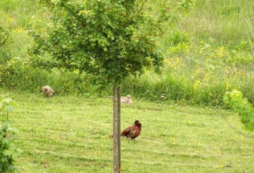 乡村酒店  Tenuta I Lecci Di Gurian Roberta Maura