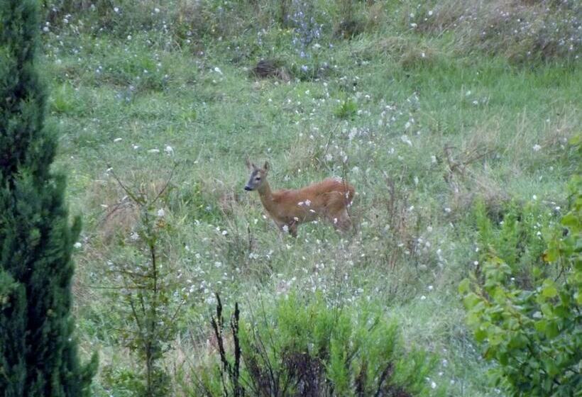 乡村酒店  Tenuta I Lecci Di Gurian Roberta Maura