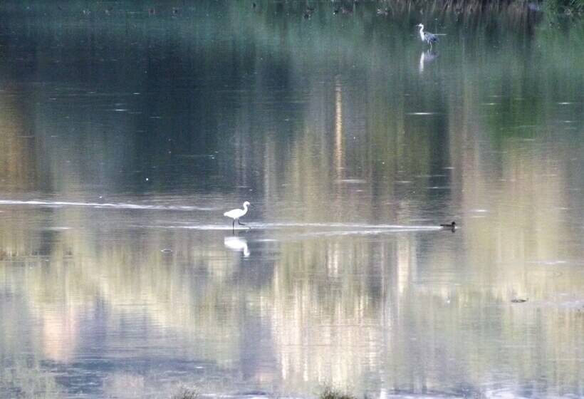 乡村酒店  Tenuta I Lecci Di Gurian Roberta Maura