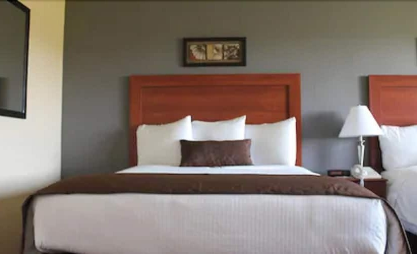 酒店 Shenandoah Inn