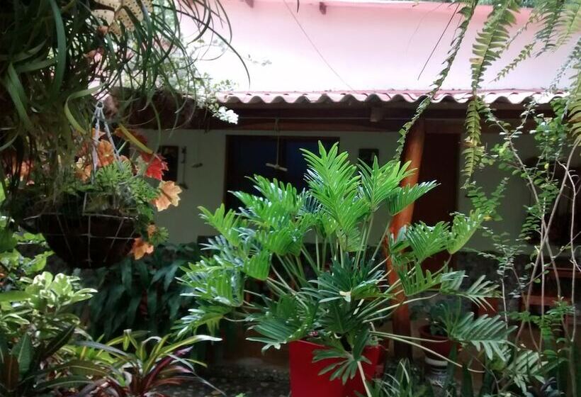 בית מלון כפרי Sierra Sanjuan Ecolodge