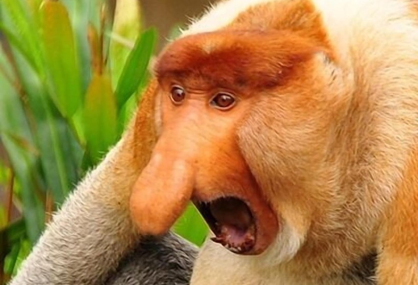 فندق Singgahmata Holidays Camp