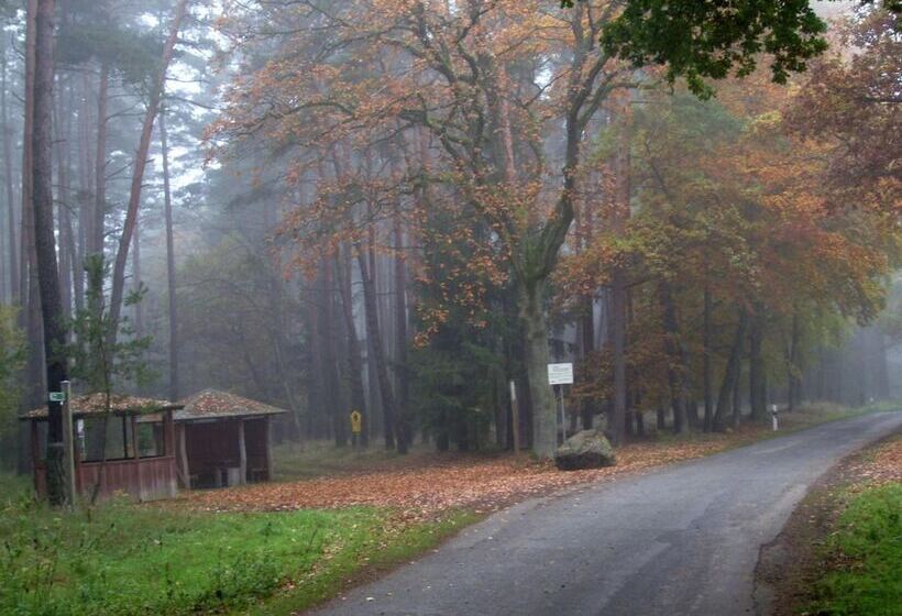 Отель Steffi S Zimmervermietung