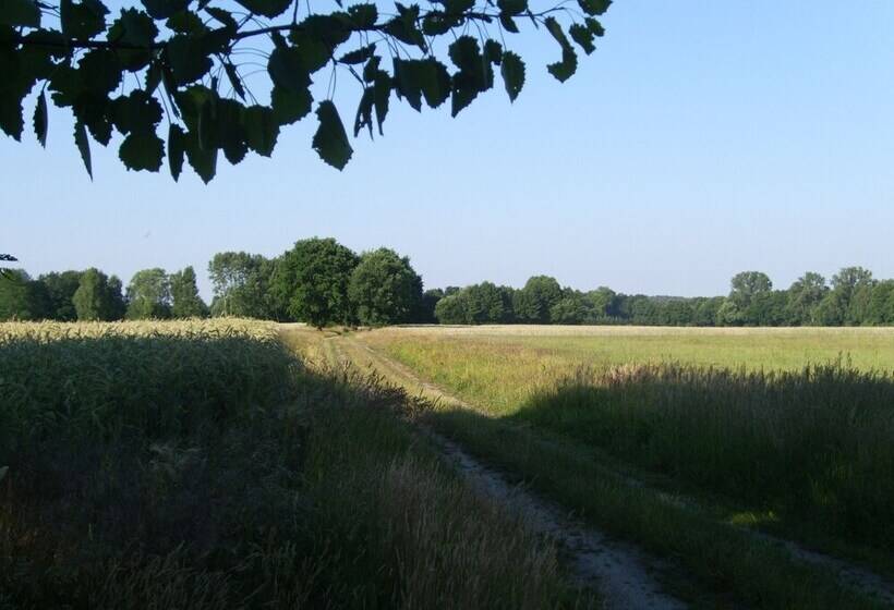 Отель Steffi S Zimmervermietung