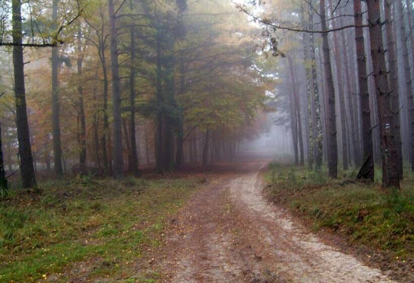 Отель Steffi S Zimmervermietung