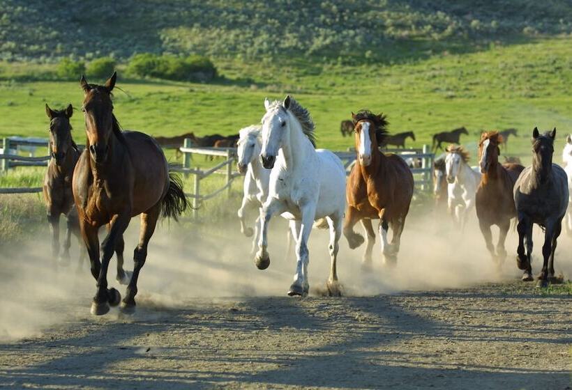 ホテル Sundance Guest Ranch