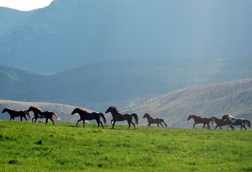 فندق Sundance Guest Ranch