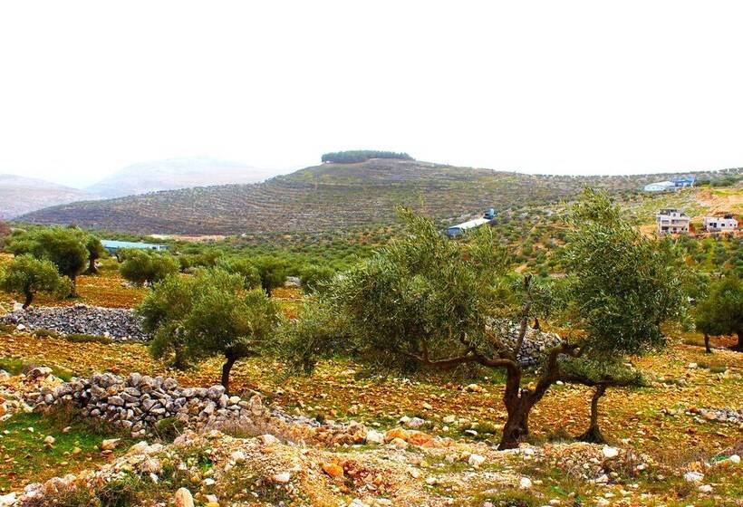 هتل Taybeh Golden