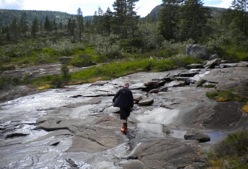 ホテル Telemark Camping & Inn Campground Cabins