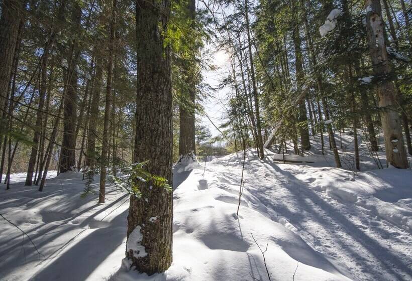 فندق The Canadian Ecology Centre Cabins