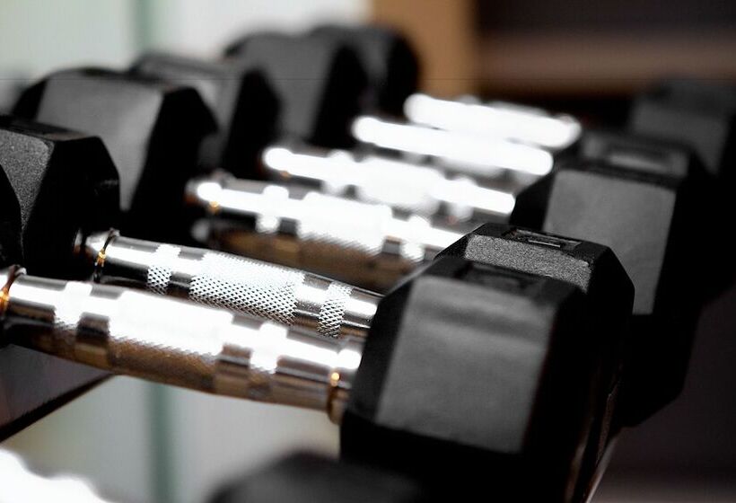 فندق The Inn At Ole Miss