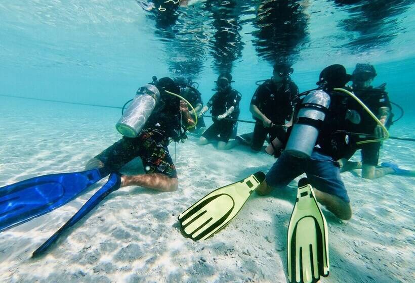 فندق The Reef Dive Resort