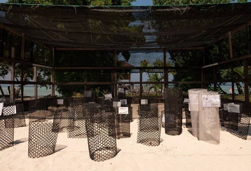 酒店 The Reef Dive Resort
