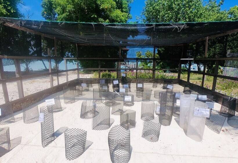 فندق The Reef Dive Resort