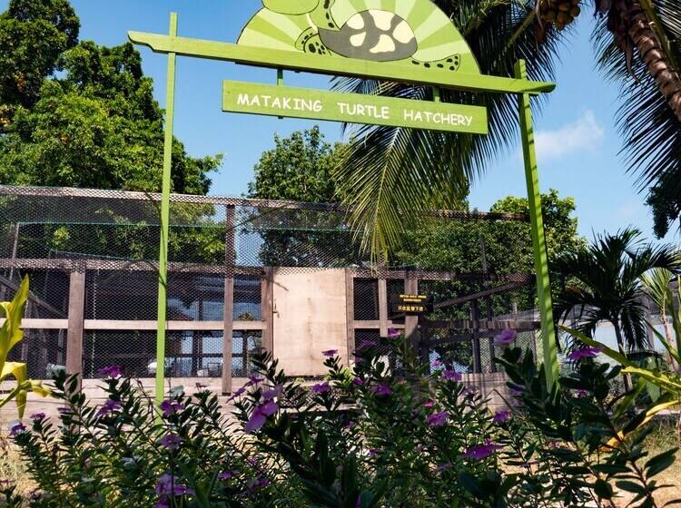 فندق The Reef Dive Resort