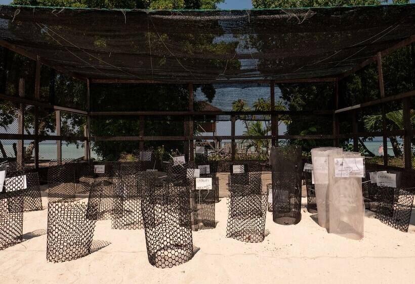 فندق The Reef Dive Resort