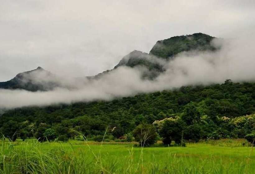 בית מלון כפרי Udzungwa Forest Camp