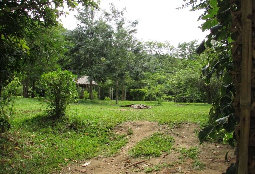 בית מלון כפרי Udzungwa Forest Camp