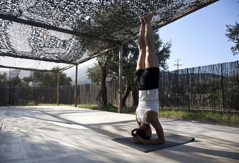 בית מלון כפרי Verina Terra