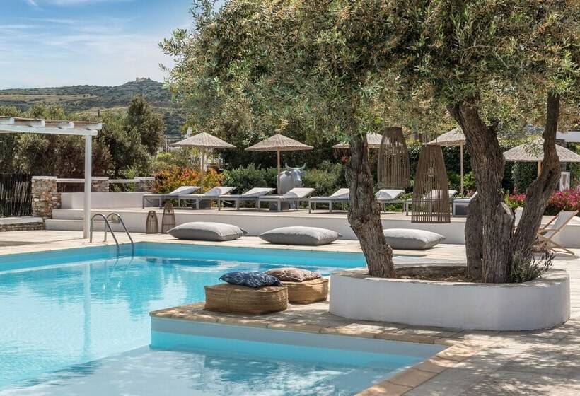 בית מלון כפרי Verina Terra