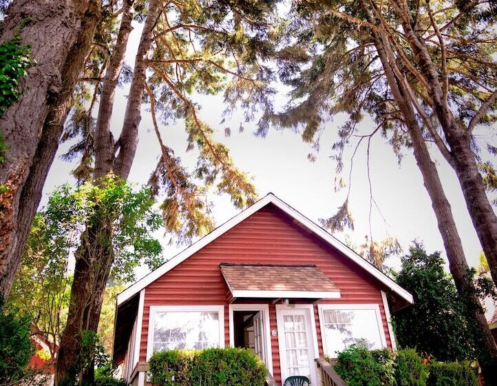 ホテル View Crest Lodge