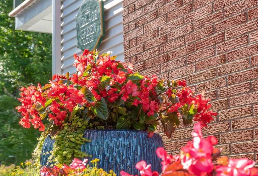 فندق Village Green Lodge