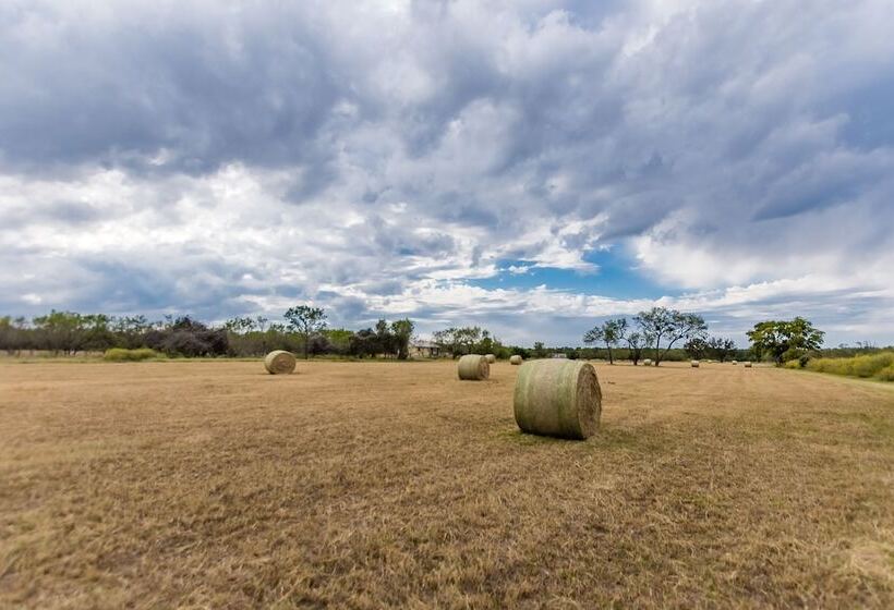 酒店 Vineyard Trail Cottages   Adults Only