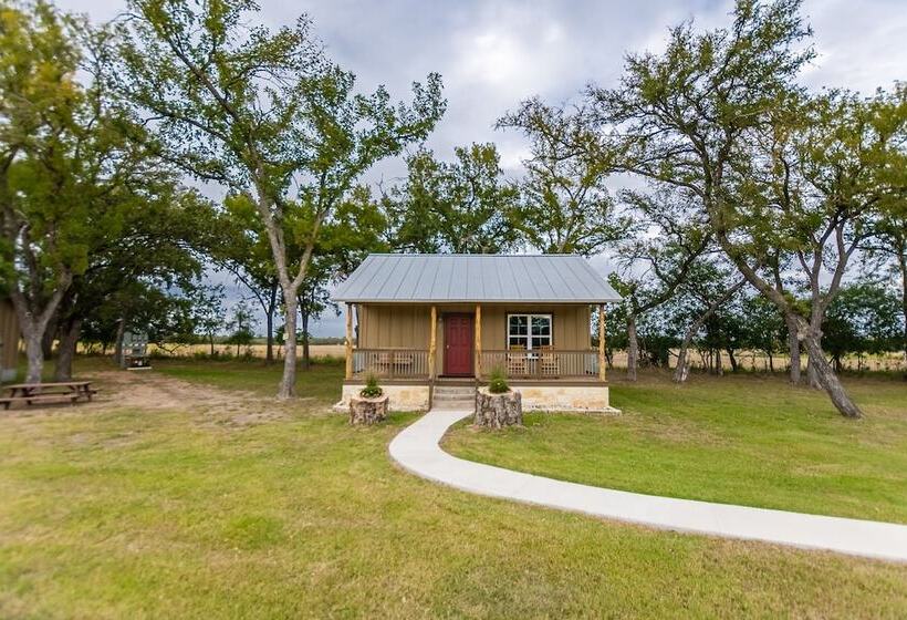 酒店 Vineyard Trail Cottages   Adults Only