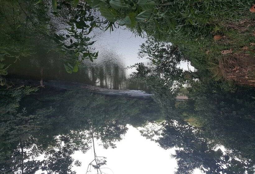 בית מלון כפרי Vista Al Tortuguero