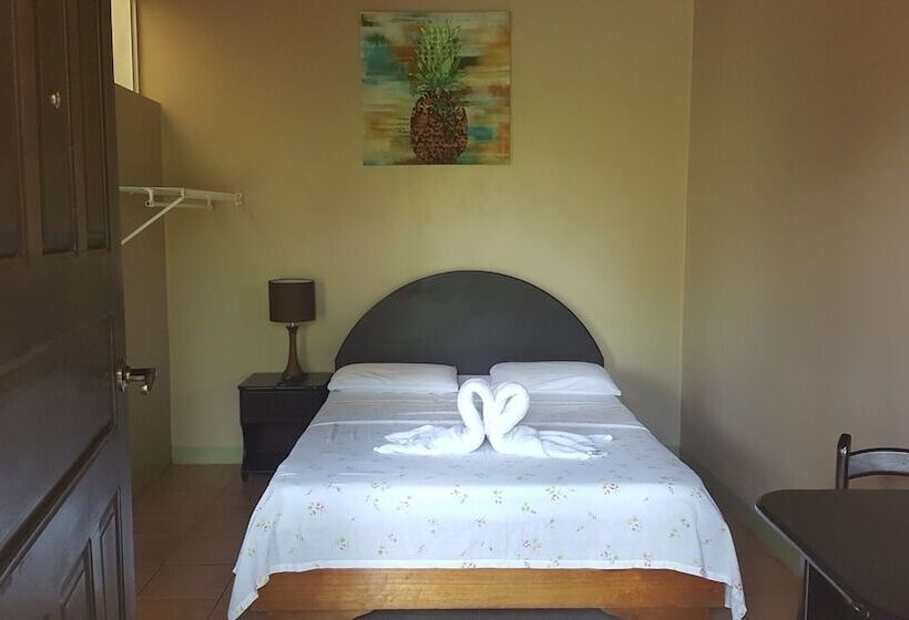 בית מלון כפרי Vista Al Tortuguero