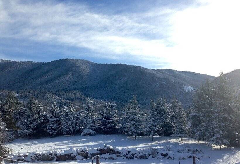 בית מלון כפרי Vitina House