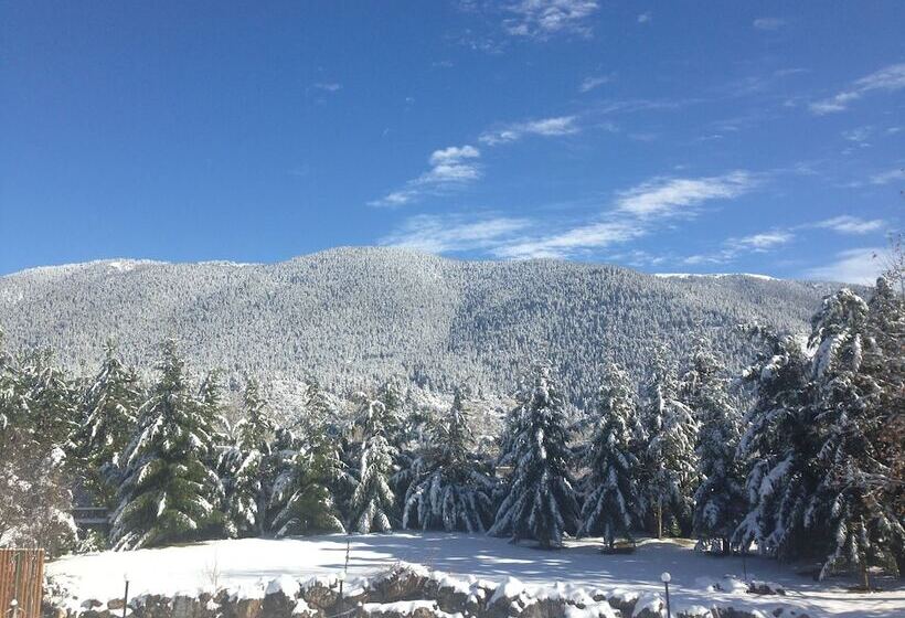 בית מלון כפרי Vitina House