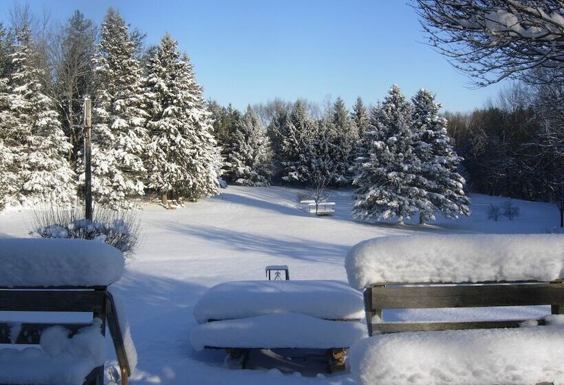 Koch Haus Bed & Breakfast