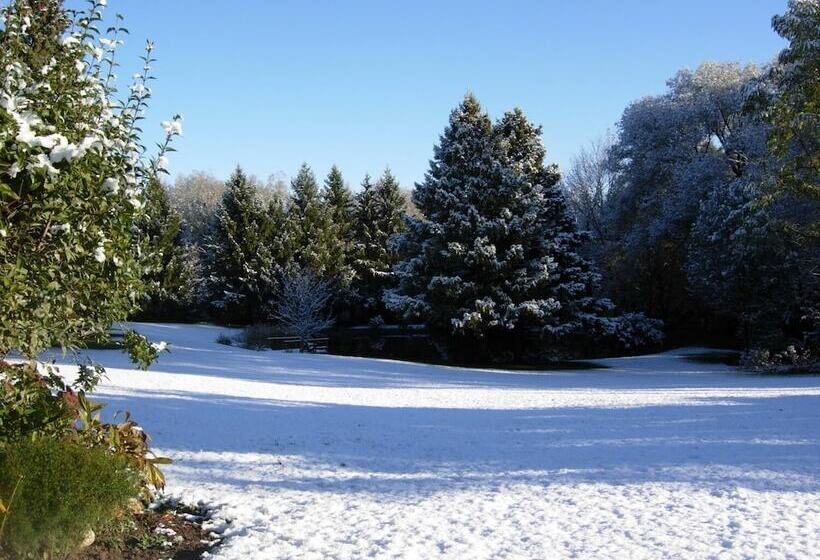 Koch Haus Bed & Breakfast